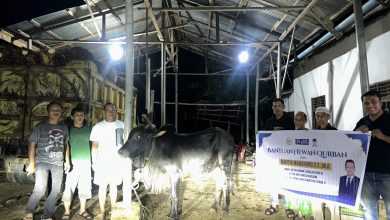 Photo of Martin Manurung Tebar 8 Sapi Kurban di Labuhanbatu Raya, Bantuan Menjangkau Pesantren hingga Masjid di 3 Kabupaten
